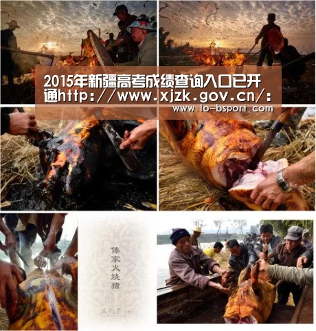 2015年新疆高考成绩查询入口已开通http://www.xjzk.gov.cn/:b体育官方下载(图3) b体育app下载